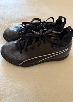 Сороконіжки puma
