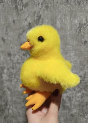 Пухнасте курча wilberry