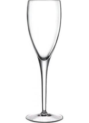 Бокал для шампанского luigi bormioli michelangelo professional line a-10283-br-703-aa-02 190 мл