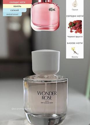 Wonder rose 2