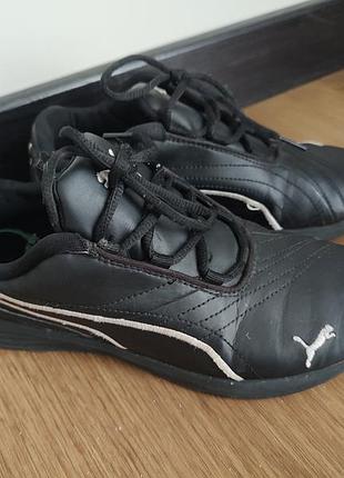 Кросівки puma , оригінал, 38, 389