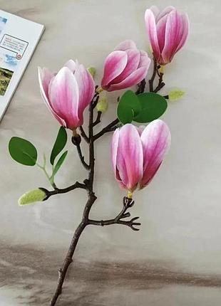 🌸 декоративна гілка магнолії 🌸 2
