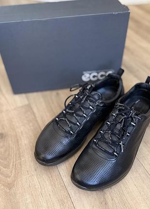 Кросівки ecco biom 40