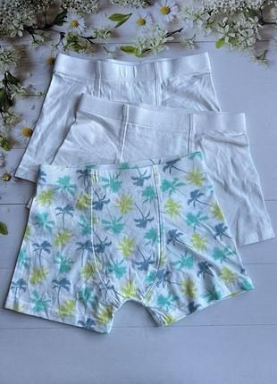 Трусики боксери на хлопчика пальми/білі (набір 3 шт.) primark р.110 см (4-5 років)