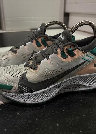 Nike running shoe pegasus trail 2 2