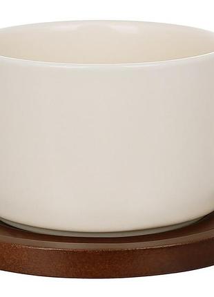 Набір (6 шт) порцеляновий: чашка 200мл з деревяним блюдцем, natural serving cream