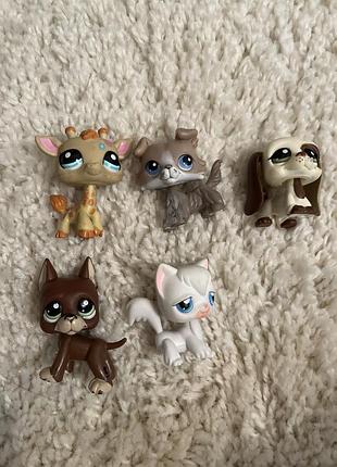 Лпс lps little pet shop