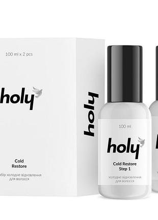 Набір холодне відновлення для волосся - holy cold restore, 100+100ml