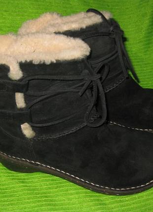 Сапоги ugg,р.36-37 стелька 23см кожа2 фото