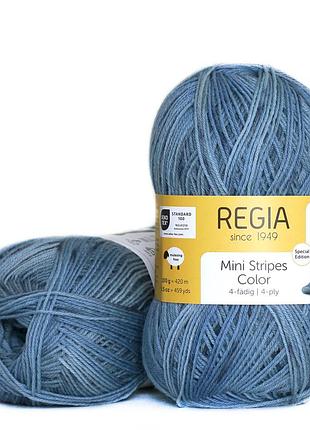 Regia color 100 г, 00426