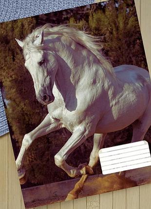 Зошит horse на скобі 18 аркушів лінія (31934)