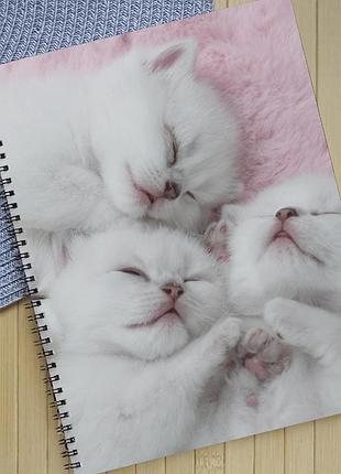 Зошит коты на пружине 48 аркушів лінія (33705)