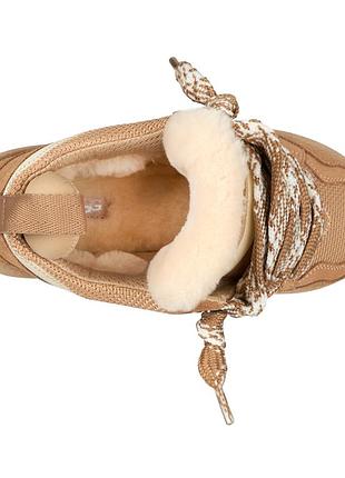 Кроссовки уги ugg lowmel (ловмел) sand 5