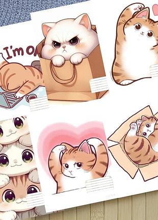 Набор тетрадей котик cat на скобе 18 листов линия (34007)