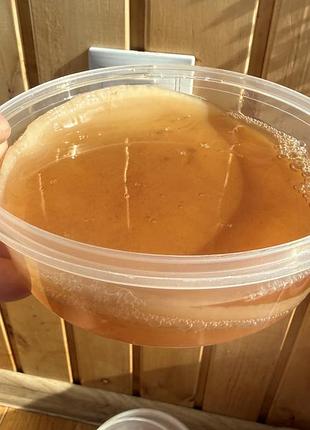 Scoby камбуча (комбуча) чай гриб 3