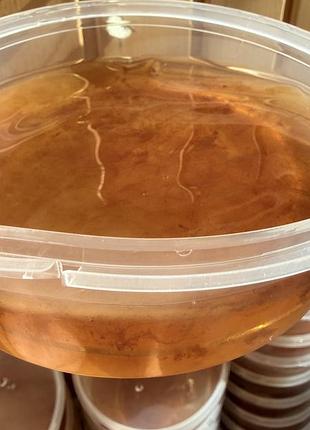 Scoby камбуча (комбуча) чай гриб 5