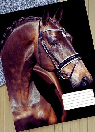 Зошит horse на скобі 18 аркушів лінія (31933)