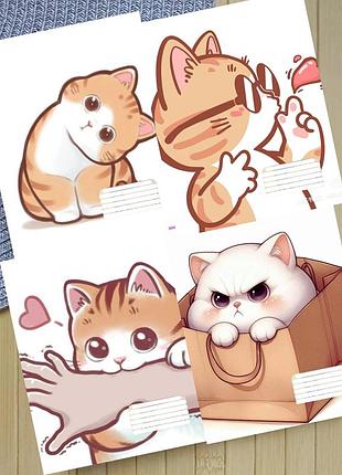 Набор тетрадей котик cat на скобе 18 листов линия (34010)
