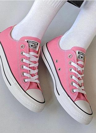 Женские розовые низкие кеды converse chuck taylor all star low кроссовки конверсы конверс