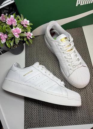 Оригинальные высокие кожаные кроссовки adidas superstar