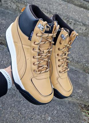 ✨ оригинальные puma tarrenz sb puretex 3