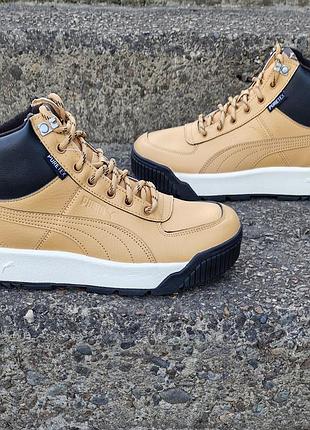 ✨ оригинальные puma tarrenz sb puretex 6