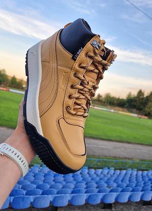 ✨ оригинальные puma tarrenz sb puretex 2