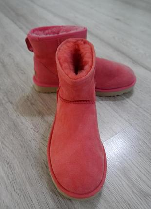 Нові жіночі оригінальні короткі ugg