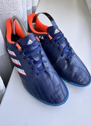 Кросівкти adidas