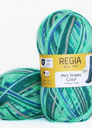 Regia color 100 г, 00410