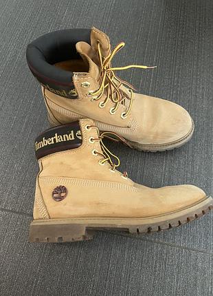 Черевики timberland premium 6-inch waterproof boot