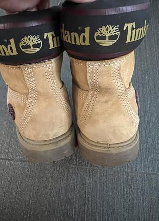 Черевики timberland premium 6-inch waterproof boot 4