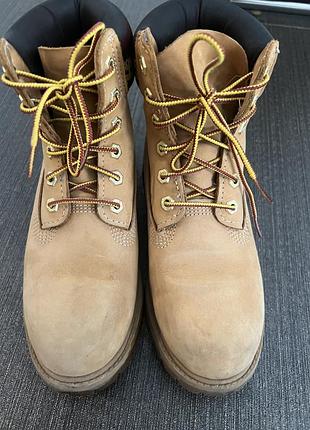 Черевики timberland premium 6-inch waterproof boot 2