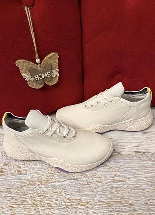 Шкіряні фірмові кросівки ecco waterproof 38р.