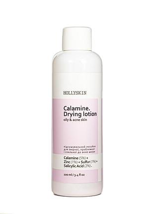 Лосьон для проблемной кожи лица hollyskin calamine drying lotion 100 мл