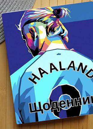 Щоденник ерлінг голанн erling haaland (31558)