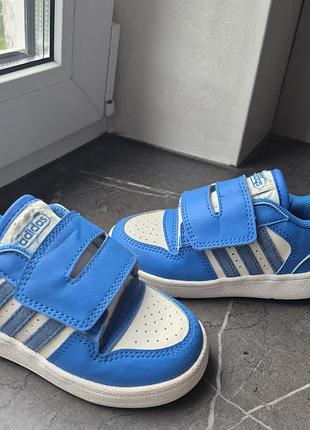 Adidas кросівки