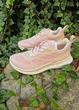 Кросівки ecco biom 2.2 / розмір 36 оригінал