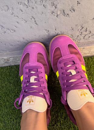 Кеди, кросівки adidas samba