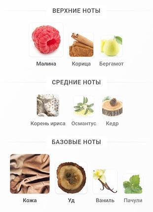 Розпив парфума maison crivelli cuir infrarouge. 6