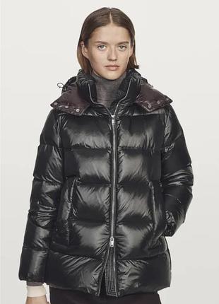 Пуховик massimo dutti