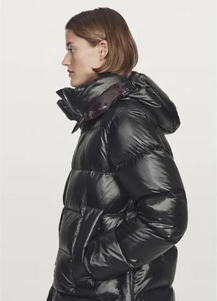 Пуховик massimo dutti 2