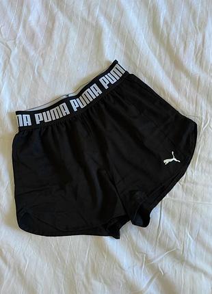 Шорти спортивні puma