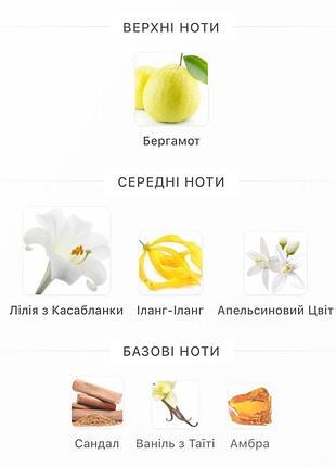 Gucci bamboo gucci є гуччі гуччі бамбу бамбу 4