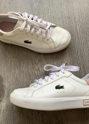 Кросівки дитячі lacoste оригінал 2