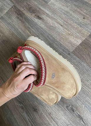 Женские замшевые тапочки ugg tazz 36 (22.5) рулеткой 23