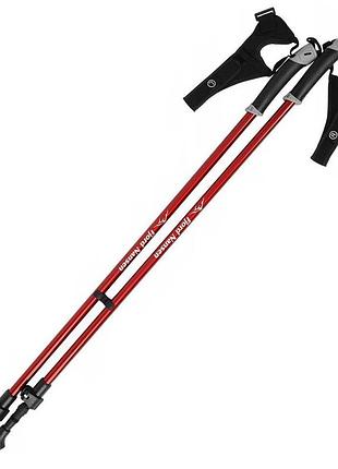 Палки для скандинавської ходьби fjord nansen nordic pro ii