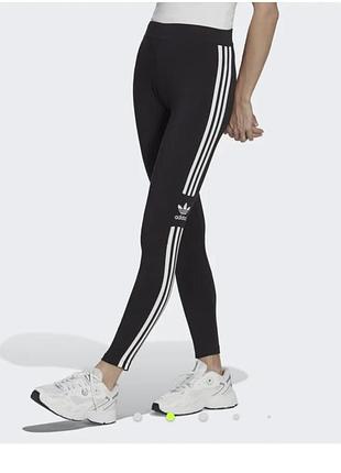 Лосины adidas