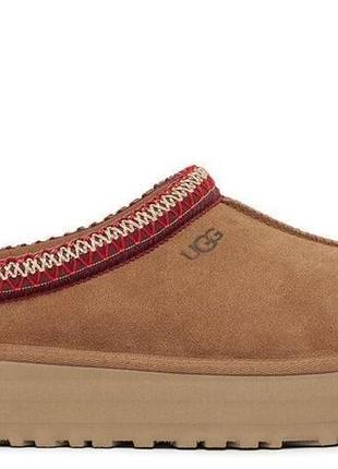 Женские тапочки ugg tazz slipper platform 2