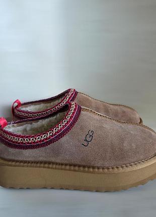 Женские тапочки ugg tazz slipper platform 3